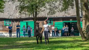 Fotorelacja - 70 lat konika polskiego w Popielnie – jubileuszowe spotkanie - zdjęcie 5