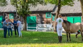 Fotorelacja - 70 lat konika polskiego w Popielnie – jubileuszowe spotkanie - zdjęcie 51