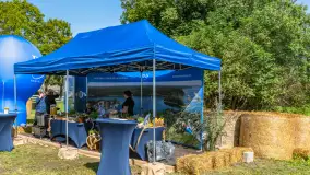 Fotorelacja - 70 lat konika polskiego w Popielnie – jubileuszowe spotkanie - zdjęcie 54