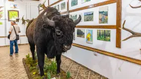 Fotorelacja - 70 lat konika polskiego w Popielnie – jubileuszowe spotkanie - zdjęcie 66