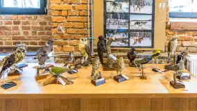 Fotorelacja - 70 lat konika polskiego w Popielnie – jubileuszowe spotkanie - zdjęcie 65