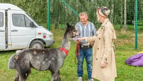 Sulimiada 2025 – przegląd źrebiąt i rodzinny piknik w Sulimach - zdjęcie 30