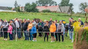 Sulimiada 2025 – przegląd źrebiąt i rodzinny piknik w Sulimach - zdjęcie 45