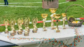 Sulimiada 2025 – przegląd źrebiąt i rodzinny piknik w Sulimach - zdjęcie 28