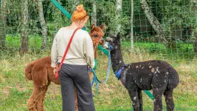 Sulimiada 2025 – przegląd źrebiąt i rodzinny piknik w Sulimach - zdjęcie 69