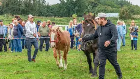 Sulimiada 2025 – przegląd źrebiąt i rodzinny piknik w Sulimach - zdjęcie 68