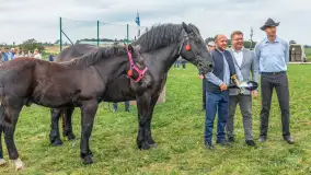 Sulimiada 2025 – przegląd źrebiąt i rodzinny piknik w Sulimach - zdjęcie 96