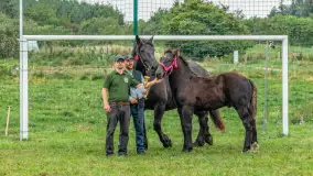 Sulimiada 2025 – przegląd źrebiąt i rodzinny piknik w Sulimach - zdjęcie 107