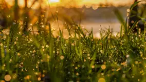 Wiosenne kadry o wschodzie słońca na Bełdanami, kwiecień 2025 r. - zdjęcie 11