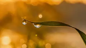 Wiosenne kadry o wschodzie słońca na Bełdanami, kwiecień 2025 r. - zdjęcie 18