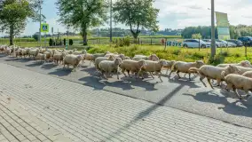 Fotorelacja z IV Redyku Mazurskiego, 04 października 2025 r. - zdjęcie 19