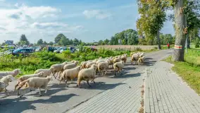 Fotorelacja z IV Redyku Mazurskiego, 04 października 2025 r. - zdjęcie 45