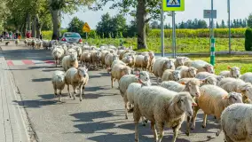 Fotorelacja z IV Redyku Mazurskiego, 04 października 2025 r. - zdjęcie 42