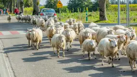 Fotorelacja z IV Redyku Mazurskiego, 04 października 2025 r. - zdjęcie 1