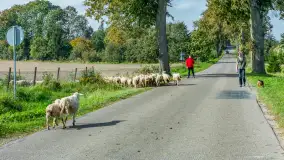 Fotorelacja z IV Redyku Mazurskiego, 04 października 2025 r. - zdjęcie 52