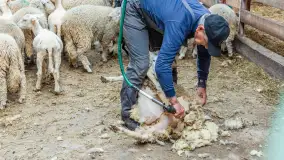 Fotorelacja z IV Redyku Mazurskiego, 04 października 2025 r. - zdjęcie 112