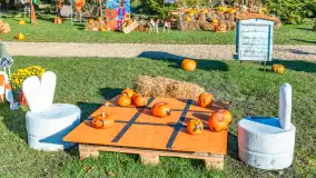 Dyniowy Port w Ogonkach, odkryj barwy jesieni na Mazurach - zdjęcie 30