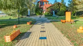 Dyniowy Port w Ogonkach, odkryj barwy jesieni na Mazurach - zdjęcie 6