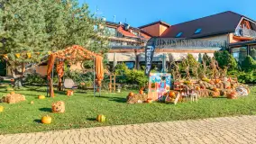 Dyniowy Port w Ogonkach, odkryj barwy jesieni na Mazurach - zdjęcie 1