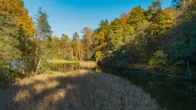 Jezioro Krutyńskie i Krutynia w jesiennej odsłonie, październik 2025 r. - zdjęcie 27