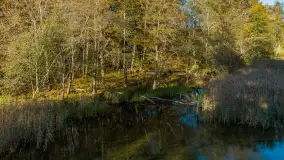 Jezioro Krutyńskie i Krutynia w jesiennej odsłonie, październik 2025 r. - zdjęcie 9