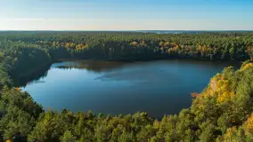 Jezioro Wesołek i puszcza Piska z drona, jesień 2025 r. - zdjęcie 13