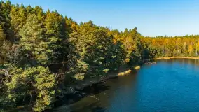 Jezioro Wesołek i puszcza Piska z drona, jesień 2025 r. - zdjęcie 30