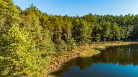 Jezioro Wesołek i puszcza Piska z drona, jesień 2025 r. - zdjęcie 24