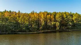 Jezioro Wesołek i puszcza Piska z drona, jesień 2025 r. - zdjęcie 12