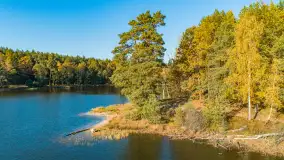 Jezioro Wesołek i puszcza Piska z drona, jesień 2025 r. - zdjęcie 11