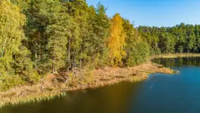 Jezioro Wesołek i puszcza Piska z drona, jesień 2025 r. - zdjęcie 16