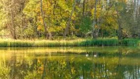 Jesień w Rezerwacie Przyrody Krutynia, październik 2025 r. - zdjęcie 25