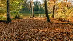 Jesień w Rezerwacie Przyrody Krutynia, październik 2025 r. - zdjęcie 31