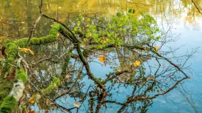 Jesień w Rezerwacie Przyrody Krutynia, październik 2025 r. - zdjęcie 16