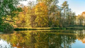 Jesień w Rezerwacie Przyrody Krutynia, październik 2025 r. - zdjęcie 30