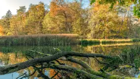 Jesień w Rezerwacie Przyrody Krutynia, październik 2025 r. - zdjęcie 26