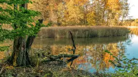 Jesień w Rezerwacie Przyrody Krutynia, październik 2025 r. - zdjęcie 51