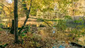 Jesień w Rezerwacie Przyrody Krutynia, październik 2025 r. - zdjęcie 24