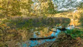 Jesień w Rezerwacie Przyrody Krutynia, październik 2025 r. - zdjęcie 57