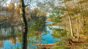 Jesień w Rezerwacie Przyrody Krutynia, październik 2025 r. - zdjęcie 67