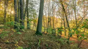 Jesień w Rezerwacie Przyrody Krutynia, październik 2025 r. - zdjęcie 35