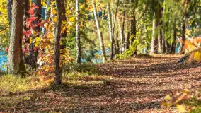 Mazurska jesień nad jeziorem Wesołek, październik 2025 r. - zdjęcie 11