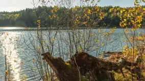 Mazurska jesień nad jeziorem Wesołek, październik 2025 r. - zdjęcie 10