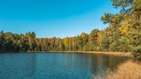 Mazurska jesień nad jeziorem Wesołek, październik 2025 r. - zdjęcie 5