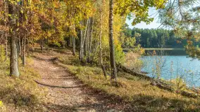 Mazurska jesień nad jeziorem Wesołek, październik 2025 r. - zdjęcie 28