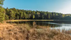 Mazurska jesień nad jeziorem Wesołek, październik 2025 r. - zdjęcie 33