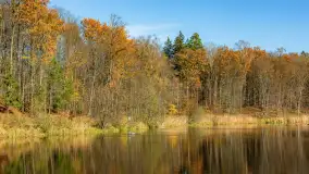 Spacer po Lesie Miejskim w Giżycku, listopad 2025 r. - zdjęcie 38