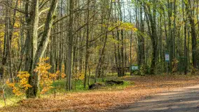 Spacer po Lesie Miejskim w Giżycku, listopad 2025 r. - zdjęcie 44