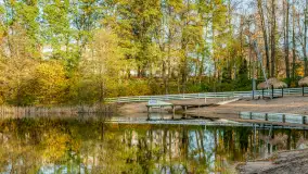 Jesień w Boyen Water Park, po lecie już tylko spacery... - zdjęcie 16