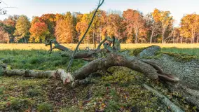 Jesień w Rezerwacie Przyrody Sztynort, październik 2025 r. - zdjęcie 25